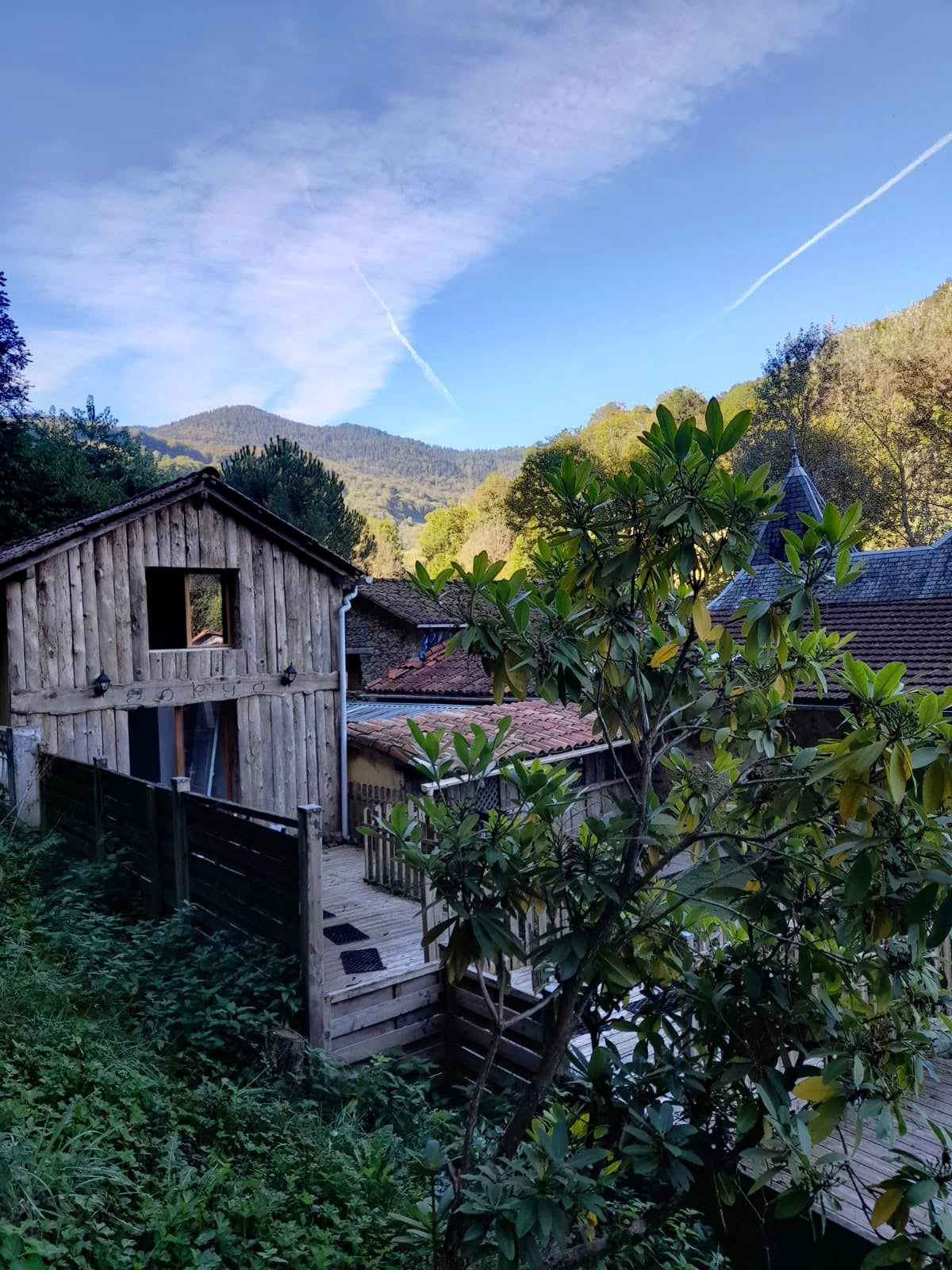 Gîte "La Forêt"